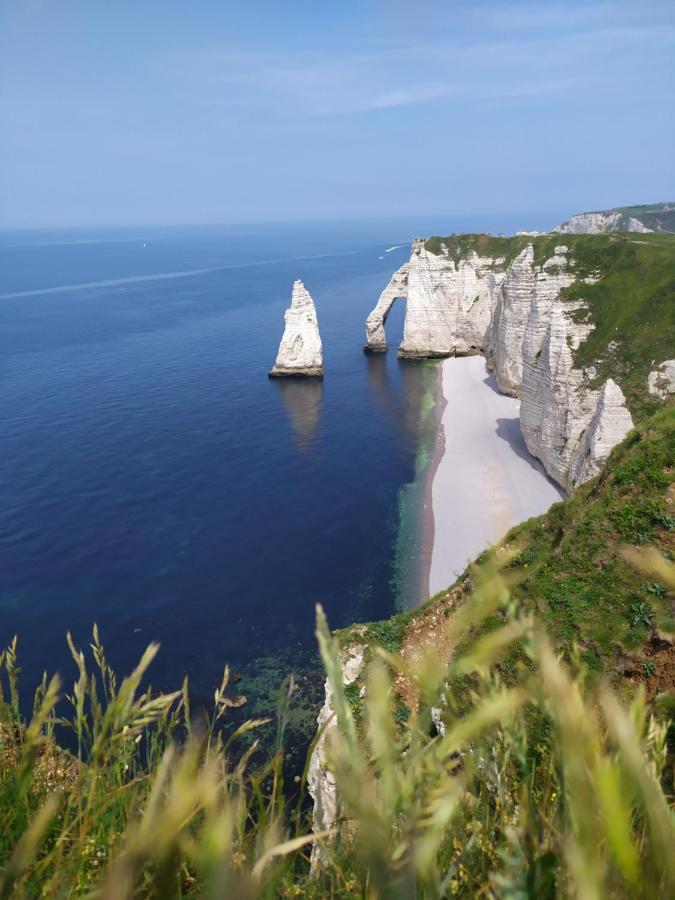 Le Clos Marie Bed & Breakfast Sausseuzemare-en-Caux Eksteriør bilde